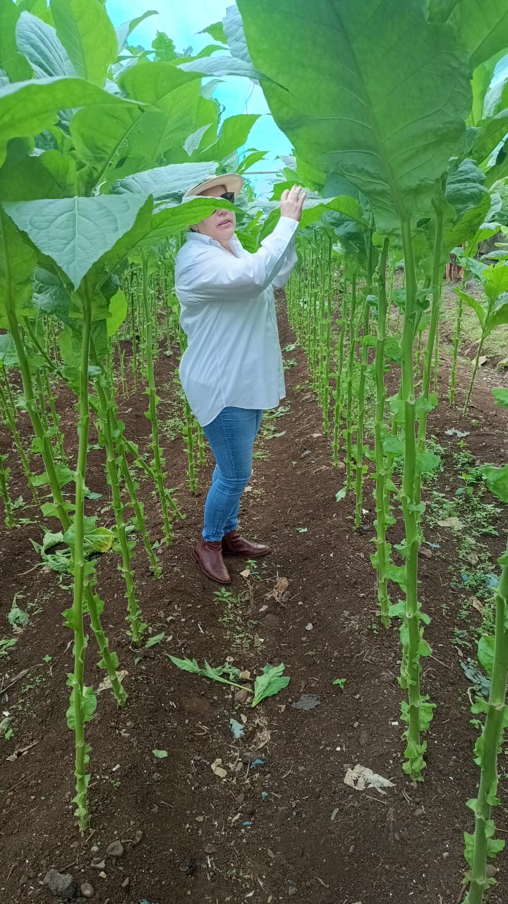 Nuestra finca