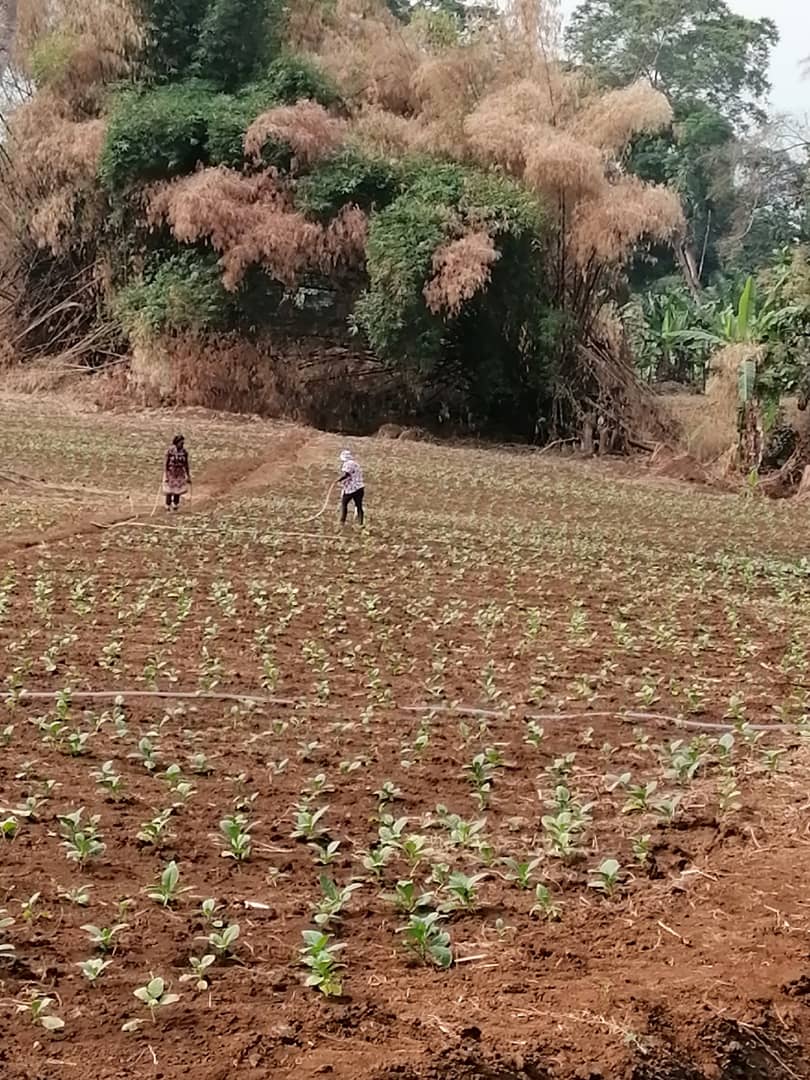 Nuestra finca
