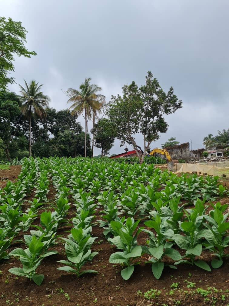 Nuestra finca