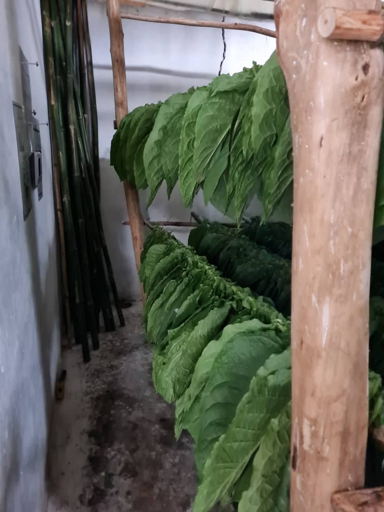 Nuestra finca
