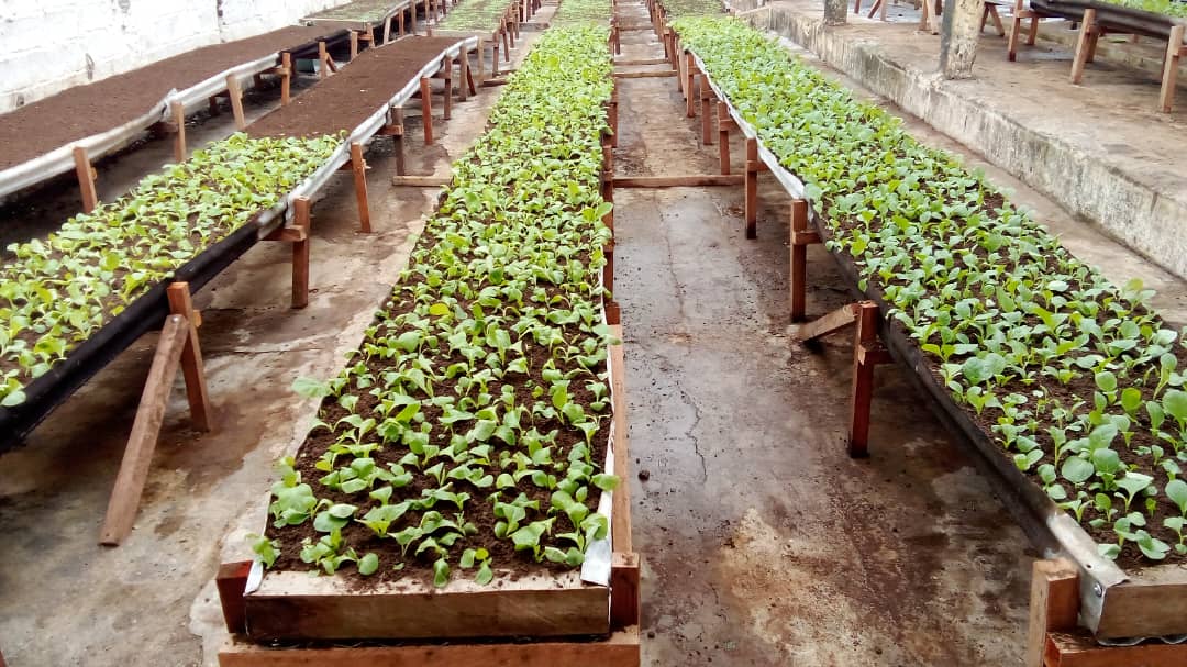 Nuestra finca