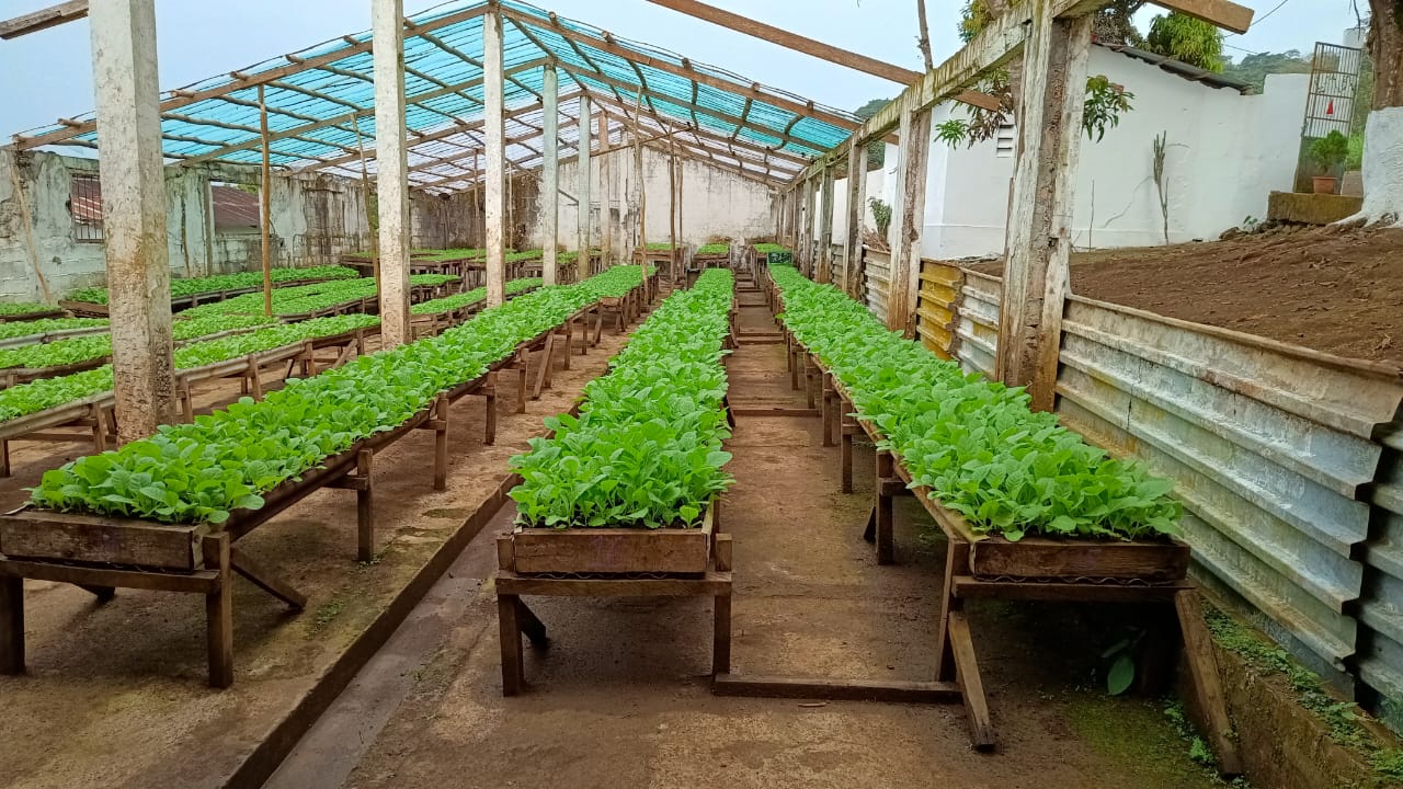 Nuestra finca