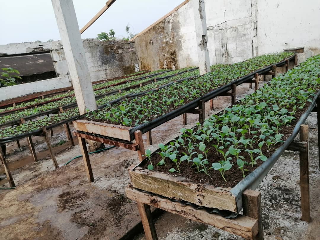 Nuestra finca