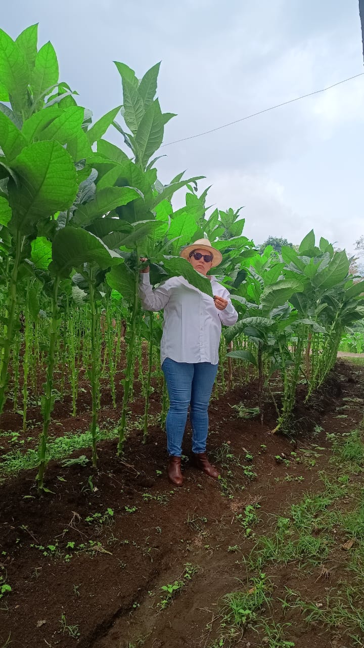 Nuestra finca
