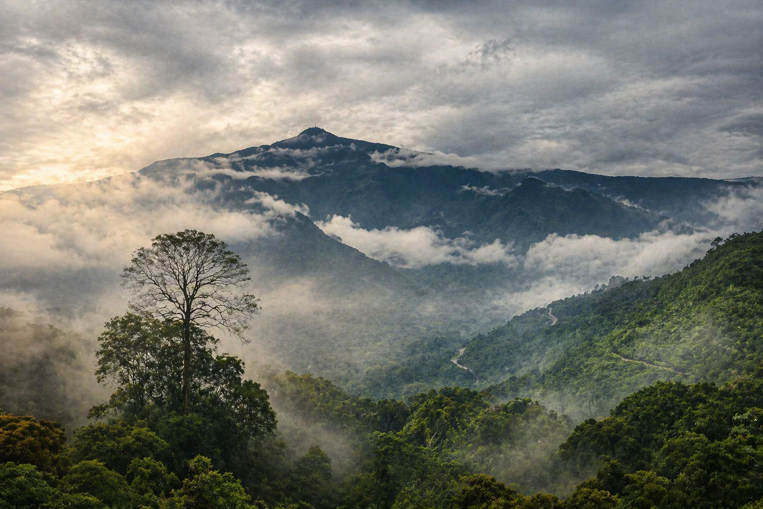 Paisaje del Pico Basilé entre niebla y selva ecuatorial